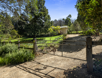 019_Open2view_ID902756-229_-_231_Mount_Irvine_Road