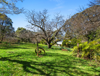 037_Open2view_ID902756-229_-_231_Mount_Irvine_Road