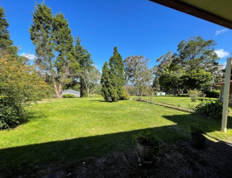 Rear-Yard-rotated