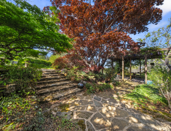 040_Open2view_ID909233-256_Mount_Irvine_Road