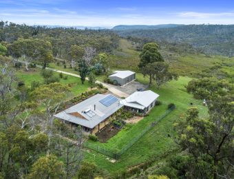 008_Open2view_ID868450-81_-_105_Chifley_Road-scaled