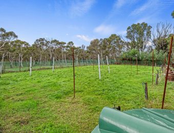 015_Open2view_ID868450-81_-_105_Chifley_Road-scaled