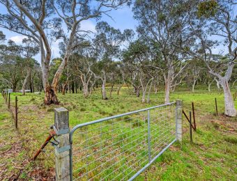 016_Open2view_ID868450-81_-_105_Chifley_Road-scaled