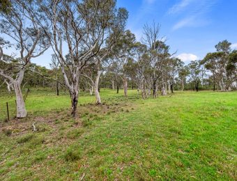 017_Open2view_ID868450-81_-_105_Chifley_Road-scaled