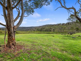 019_Open2view_ID868450-81_-_105_Chifley_Road-scaled