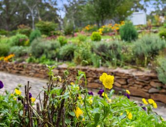 028_Open2view_ID868450-81_-_105_Chifley_Road-scaled