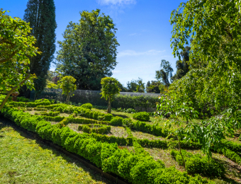 022_Open2view_ID980895-225_Mount_Irvine_Road