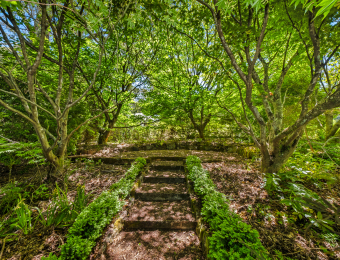 023_Open2view_ID980895-225_Mount_Irvine_Road