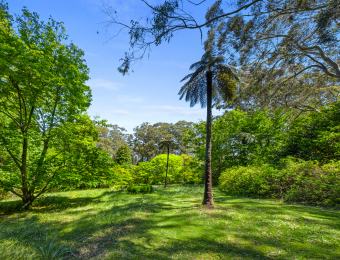 024_Open2view_ID980895-225_Mount_Irvine_Road