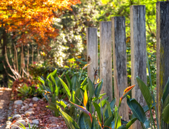 009_Open2view_ID885245-9_Withers_Lane